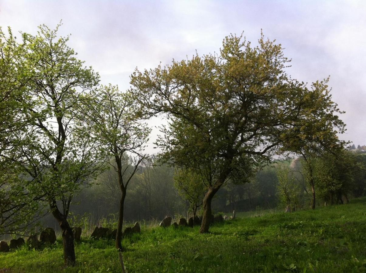 Domek V Podyji Lukov  Exterior foto